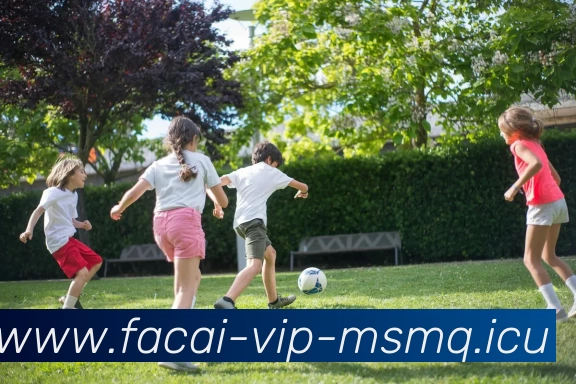 App Interface Preview